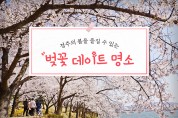 경주의 봄을 즐길 수 있는 벚꽃 데이트 명소
